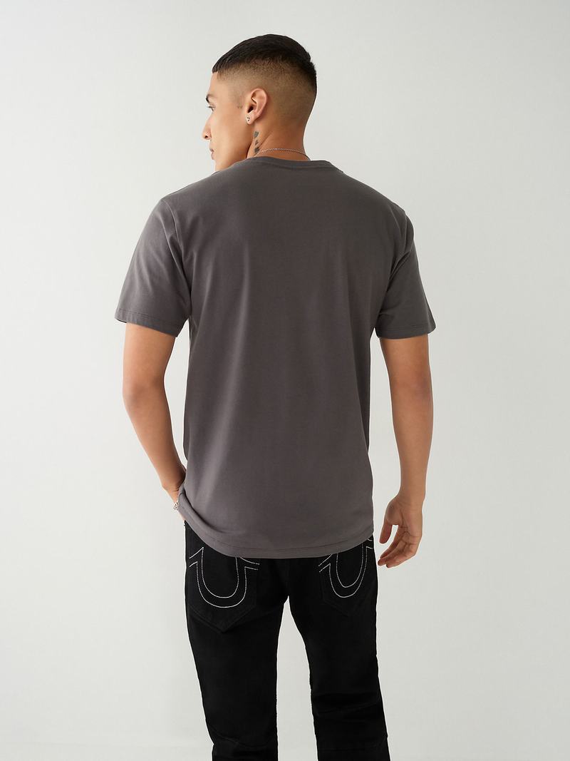 True Religion Buddha Logo T-Shirts Herren Grau | 75069KSIO