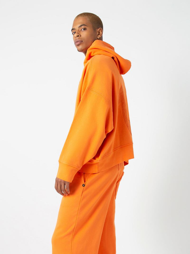 True Religion Sebastien Ami X True Religion Logo Hoodie Herren Orange | 24831CUPG